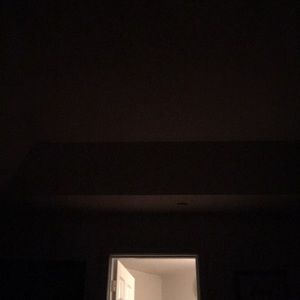 Meet your Posher, Dani